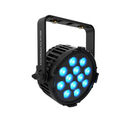 Chauvet Pro COLORdash PAR H12X IP